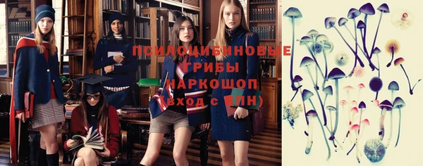 спайс Арсеньев