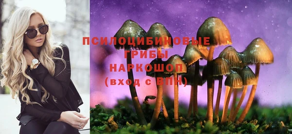 спайс Арсеньев